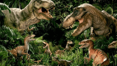 Wallpaper:0d5aoqy4zqa= Jurassic Park
