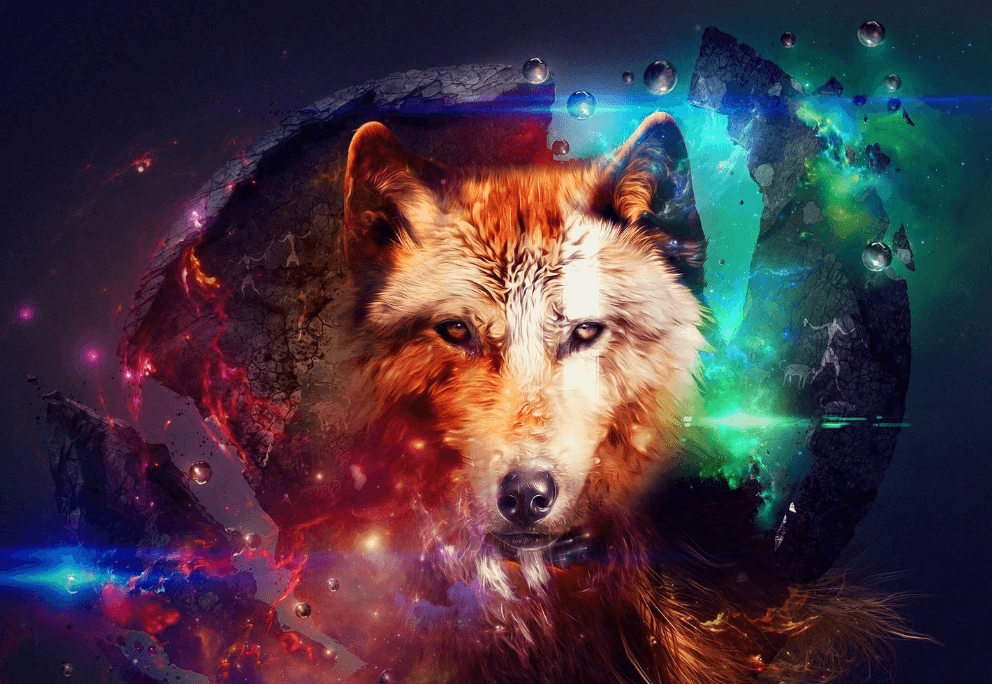 Galaxy:M3agm3dj2bm= Wallpaper:8xsof43zhre= Wolf