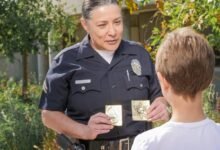 contact numbers for council