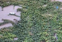 contact security monitoring center