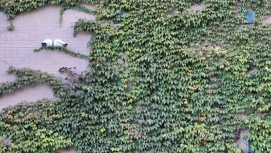 contact security monitoring center