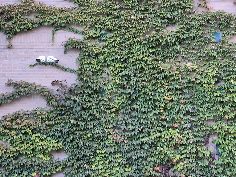 contact security monitoring center