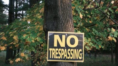 privacy enforcement taskforce contacts