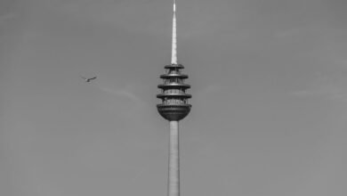 telecommunication fraud detection numbers