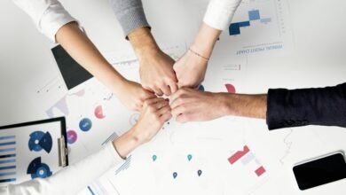 business dynamics report summary