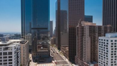 corporate expansion data records